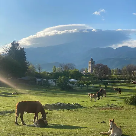 Cal Rei De Talló